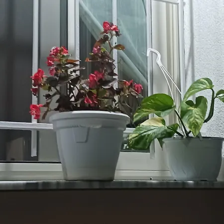 Homestay szállás Cuka Durrës